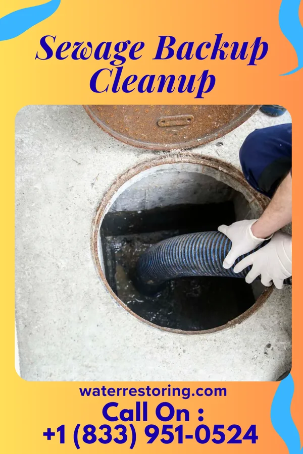 Sewage Backup Cleanup in Shaker Heights, OH