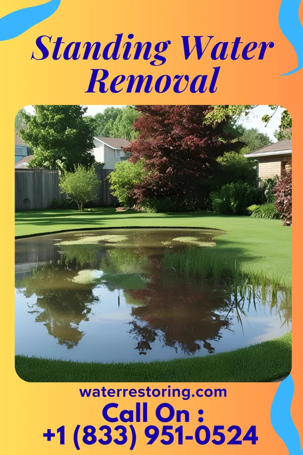 Standing Water Removal in Shaker Heights, OH